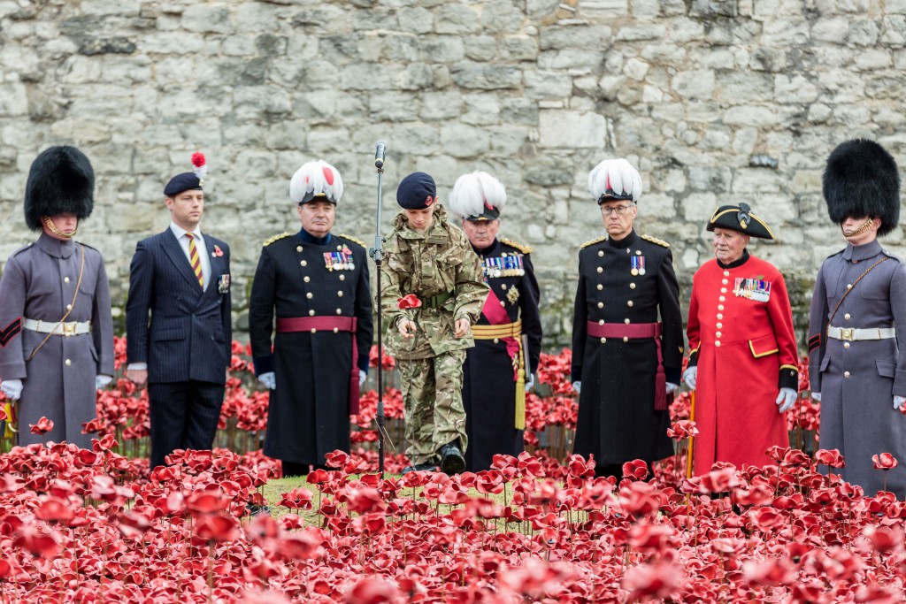 Poppy day презентация