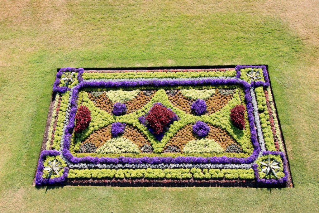 East Front carpet bedding the results! HRP Blogs