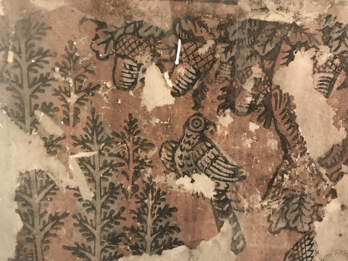 The design shows trees, acorns and a bird with a long tail