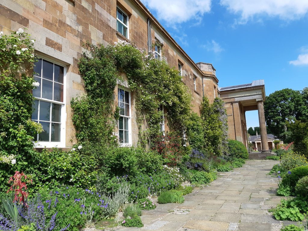 Walls of the South Terrace enveloped in Wisteria sinensis, Rosa banksia ‘Lutea’ and wall shrubs.