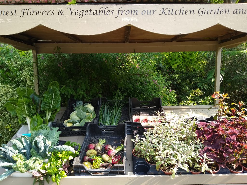 KItchen Garden Veg Cart V2 2021 1024x768 